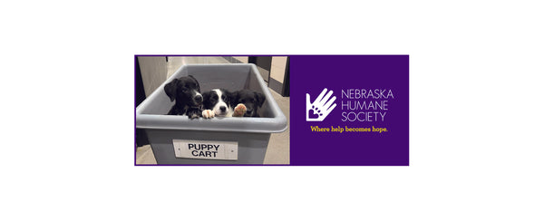 Nebraska Humane Society Store
