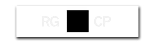 Raygun Custom logo