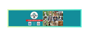 Lucky 13 Rescue Store