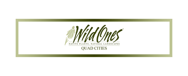 Wild Ones <br> Quad Cities Chapter Store