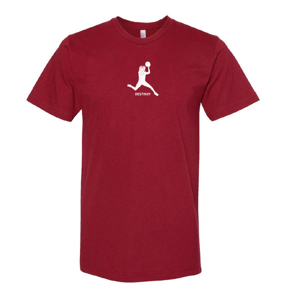 UMassketball: D3stiny Shirt