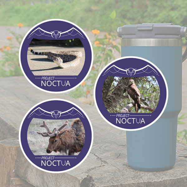 OSO Artists Orchard: Project Noctua stickers