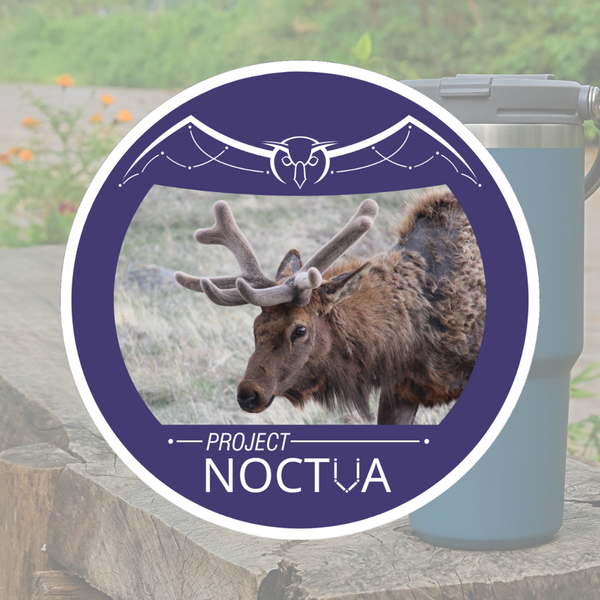 OSO Artists Orchard: Project Noctua stickers