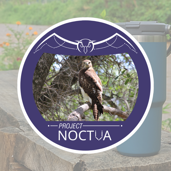 OSO Artists Orchard: Project Noctua stickers