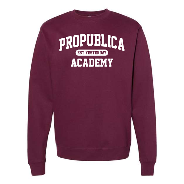 ProPublica Academy Crewneck Sweatshirt